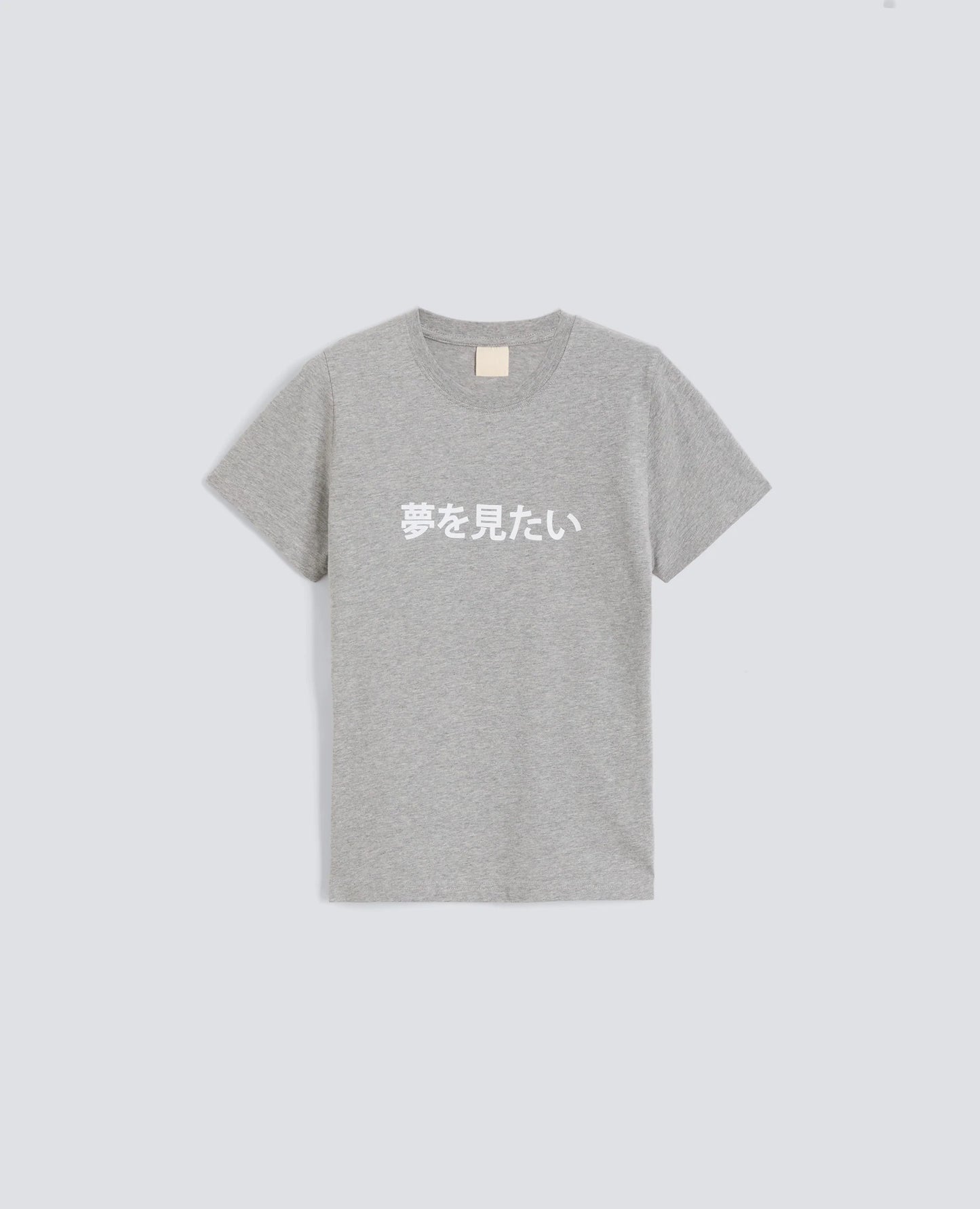 ASPESI T SHIRT GREY LETTERING JAPANESE